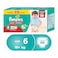 Pampers Baby Pants Diapers, 6 Extra Large, 16+ kg - 48 Diapers