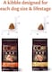 Wellness Core Original Turkey And Chicken Dry Dog Food 1.8kg