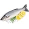 Fresh Sea Bass