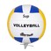 Supreme Sports Volleyball Multicolour Size 5