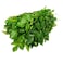 Curry Leaves Bunch Pc