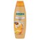 Palmolive Naturals Anti-Hair Fall Shampoo Ginseng &amp; Keratin (180ml)