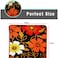 Flowers Printed Door Mat Floor Mat Bath Mat Home, Bathroom, Bedroom Entrance Indoor &amp; Outdoor Foot Mat 38x58 cm