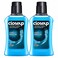 Closeup Antibacterial Mouthwash Cool Breeze Blue 400ml Pack of 2