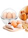 Wtrtr Multifunctional Electric Egg Boiler And Steamer With Auto Shut Off