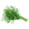 Fresh Dill (Sabat)