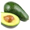 Fuerte Avocado Exotic Fruit