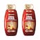 Garnier Ultra Doux Castor And Almond Oils Shampoo 400ml Pack of 2