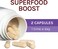 Fungi Perfecti, Lion's Mane, Memory &amp; Nerve Support, 30 Vegetarian Capsules