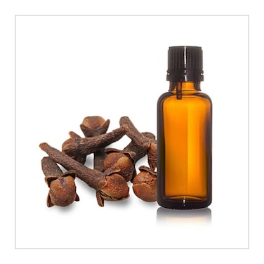 Clove Oil - 25 ml
