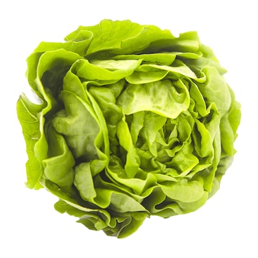 Saac Butterhead Lettuce 1 Piece