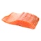 Salmon Fish Fillet 