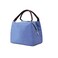 AiLiFE Cooler Lunch Box Bag foldable thermal waterproof lunch bag with zipper and handles Insulated Canvas 20x21x12cm for women Girls Kids Children For School work Office &amp; Outdoor,Sport，royal blue
