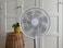 Xiaomi Mi Smart Standing Fan 2