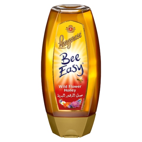 Buy Langnese Bee Easy Wild Flower Honey 500g in UAE