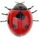 FITTO Remote-Controlled Wall Climbing Ladybug Toy, Fun Toy for Children and Adult