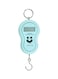 Generic - Portable Electronic Scale Blue