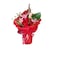Rodesert Flower
