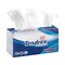 Tendrex Facial Tissue 300 Count