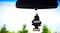 Little Trees Paper New Car Scent Air Freshener
