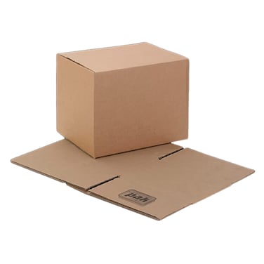 Expert Plain Carton Large 533*300*280MM