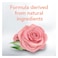Lady Speed Deodorant Stick Antiperspirant Zero% Rose Petals 40g