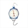 Generic Hanging Scale With Hook 100Kg