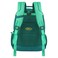 Skybags Squad Backpack 06 Green