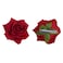 FABULOUS ROSY HAIR CLIPS