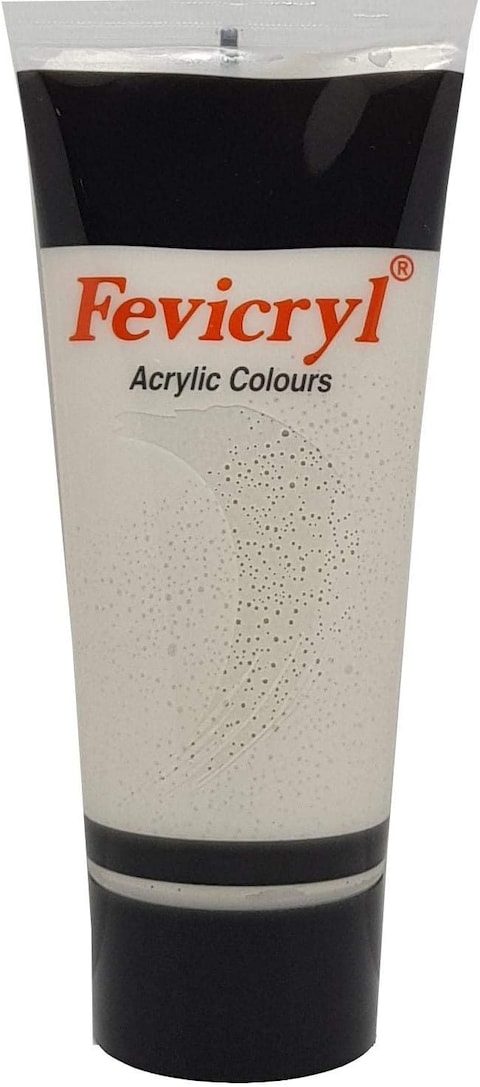 Generic Fevicryl Acrylic Color 200ml Silver Ac24(Packaging May Vary)