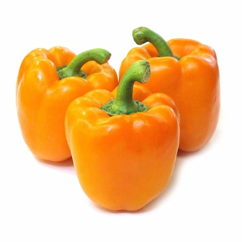 Orange Bell Pepper