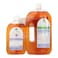 Dettol Antiseptic Liquid 1 lt + 500 ml (Pack of 2)