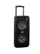 Geepas Portable Speaker With Microphone And Remote Control Black