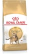 Royal Canin Feline Breed Nutrition Bengal Adult 2 Kg
