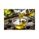 DEWDROP OLIVE OIL 1L POMACE
