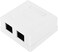 2 Port Cat6 Surface Mount Box RJ45 Cat6 Dual Port Surface Mount Box for Ethernet Cables, Screws and Double-Side