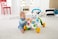 Fisher-Price Learn With Me Zebra Walker &ndash; French Edition Dld80