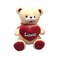 Teddy Bear With Heart Plush Toy Multicolour 35cm