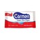 Carmen Smart Wet Wipes - 24 Wipes