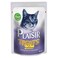 Plaisir Cats Treats With Cheese 60g