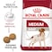 Size Health Nutrition Medium Adult 4 KG