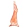 Australian Whole Lamb Local