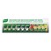 Knorr Cream Of Mushroom Cup A Soup 20g Pack of 4