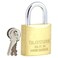 Blossom Brass Padlock Gold 20mm