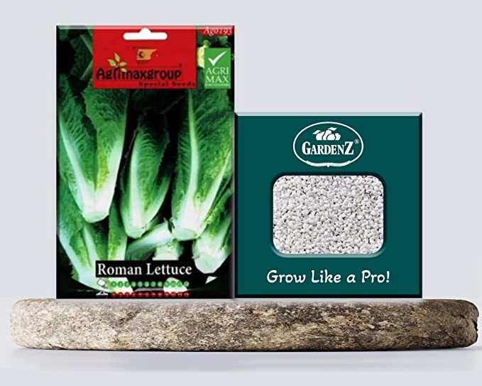 Buy Roman Lettuce Seeds AG0193 High productivity + Agricultural Perlite ...