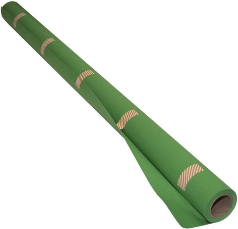 Coopic Bd 1.4X11m Green Background Paper For Photo Studio Portrait Seamless Collapsible