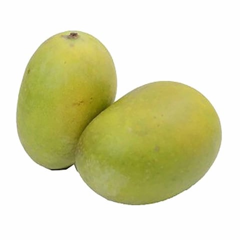 مانجو مبروكة