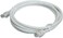Bitcorez Cat6 UTP Ethernet Patch Cable - 1M - PVC - White