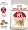 Royal Canin Fhn Feline Health Nutrition Fit 32 400gm Adult Cat Dry Food