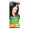 Garnier Color Naturals Hair Color - Dark Black